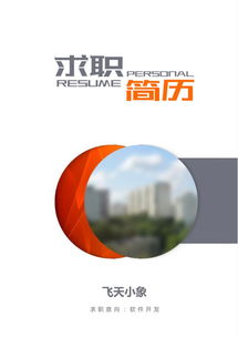 計(jì)算機(jī)軟件開(kāi)發(fā)簡(jiǎn)歷模板與撰寫指南